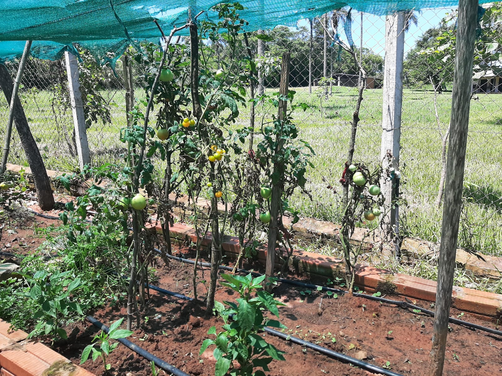 Foto 4