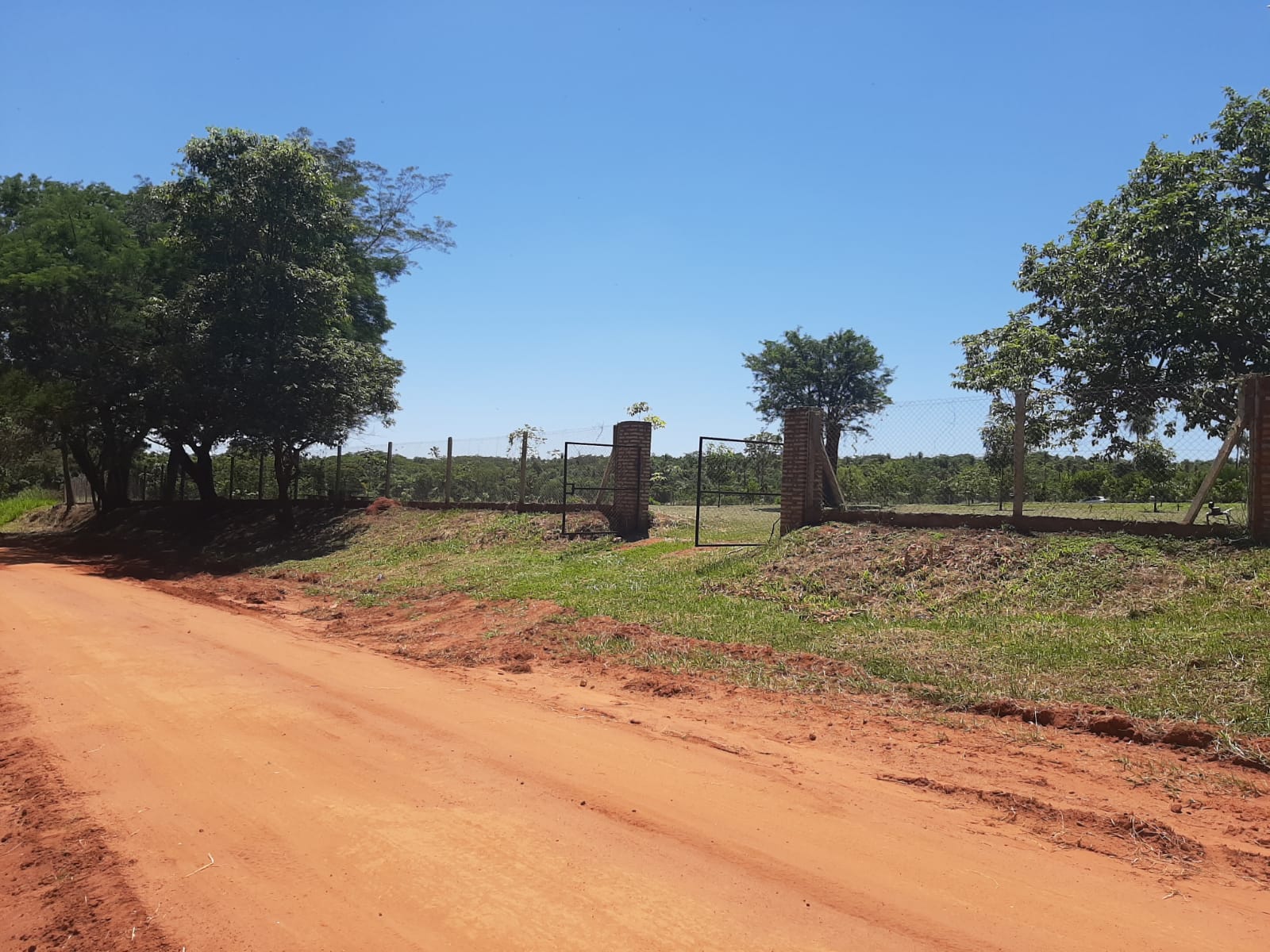 Foto 5