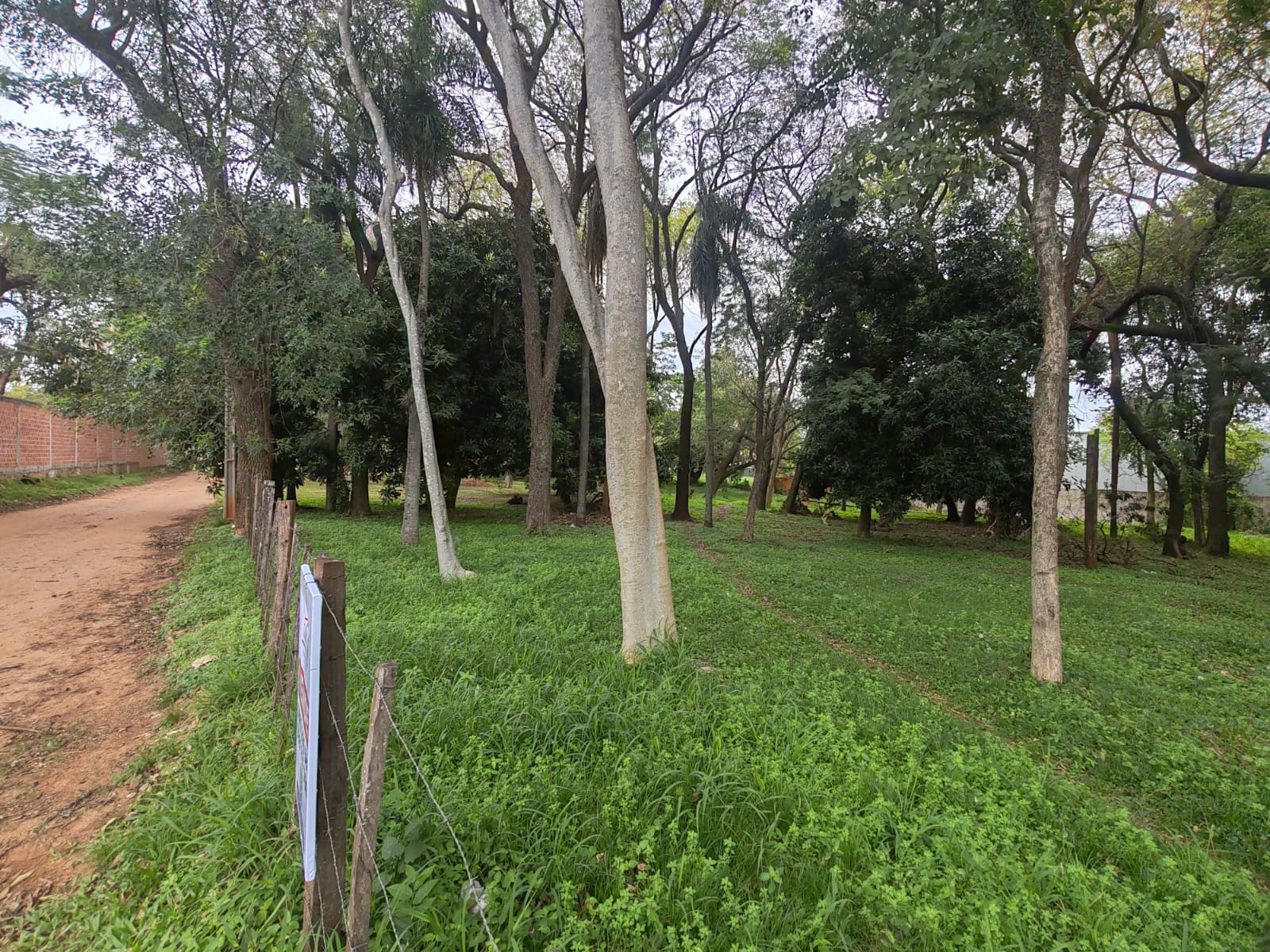 TERRENO EN VENTA - MRA · Foto 3